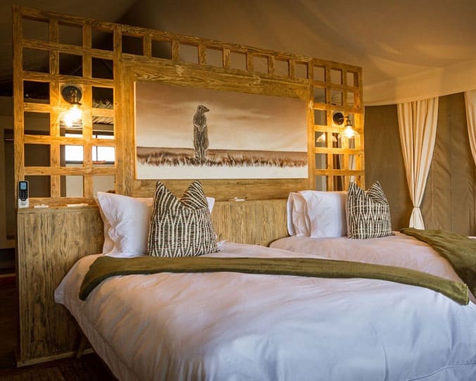 Luxury Lodge Safaris