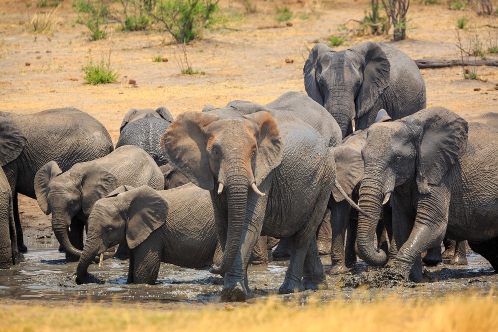 Explore the scenic Drakensberg escarpment and forgotton passes, while staying at the<br />
quint Riverview Country Inn.