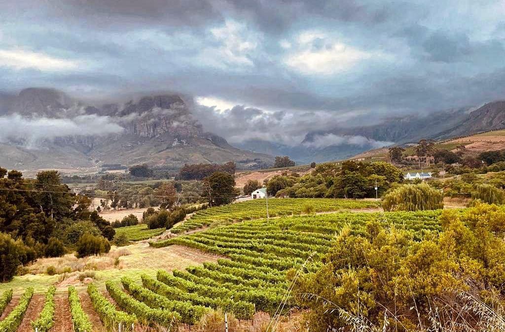 Cape Classic Groepsreis